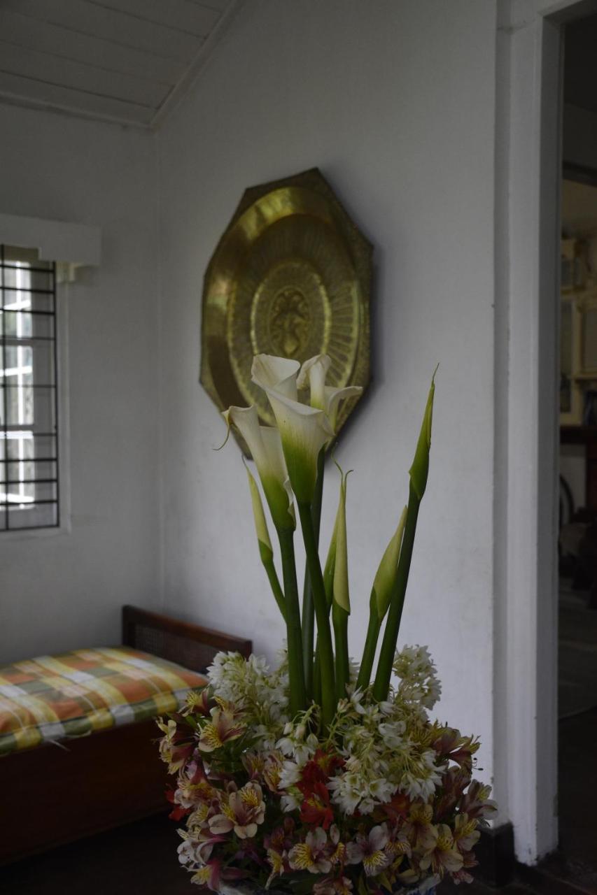 Shirin1892 Guest House Нувара Елия Екстериор снимка